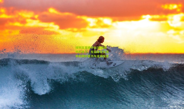 排列五直播平台|绿茵场外的角力，东亚体育交流中的微妙张力与足球反思