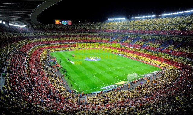 【排列五体育中心】国青深圳集结冲刺亚青赛 阵容磨合与23人名单悬念待解