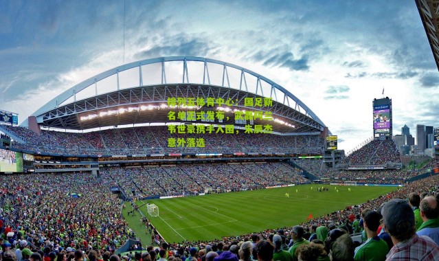 排列五体育中心：国足新名单正式发布，武磊阿兰韦世豪携手入围，朱辰杰意外落选